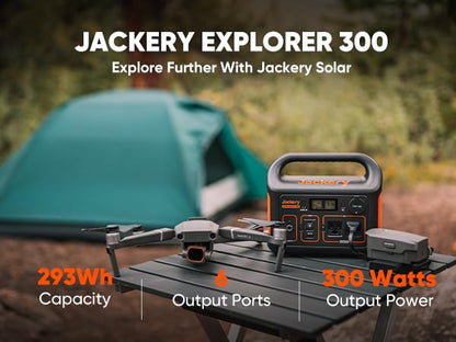 Portable Power Station 293Wh