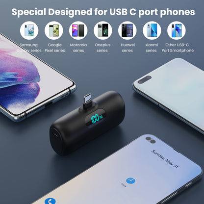 Mini USB-C Portable Charger