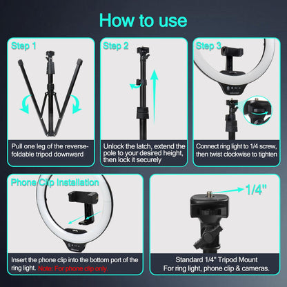 14-Inch Ring Light with Foldable Tripod